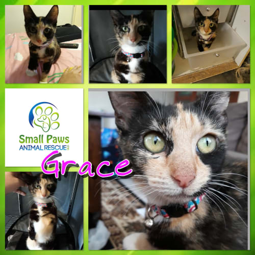 Grace