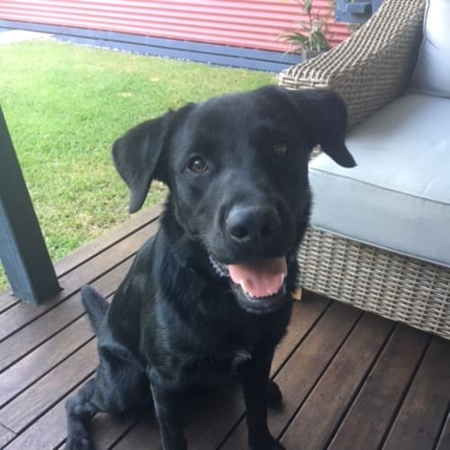 Jax