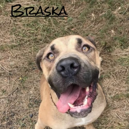 Braska