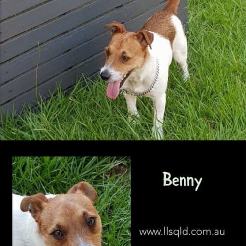 Benny