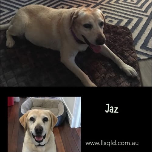 Jaz