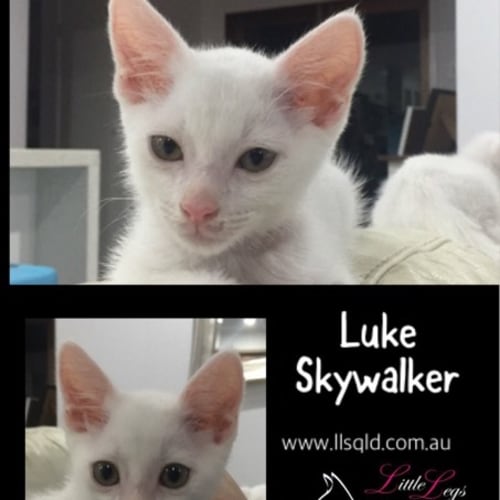 Luke Skywalker