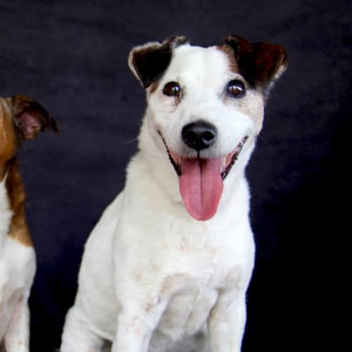 Toby and Troy