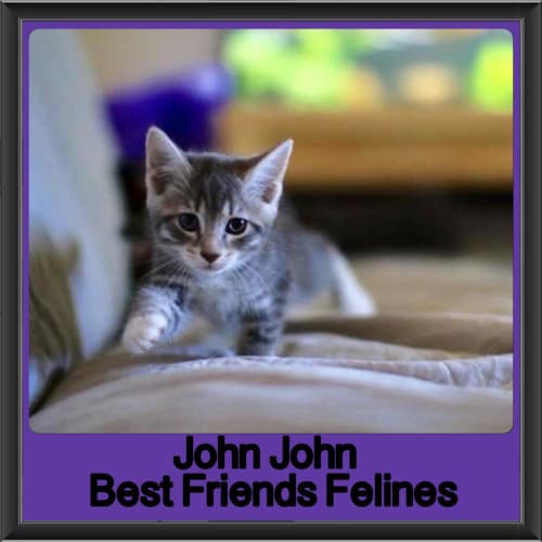 John John 