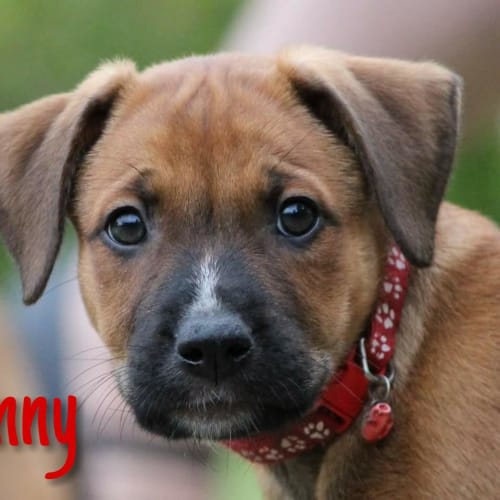 Sonny 