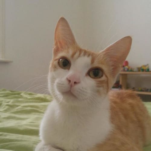 Tilly