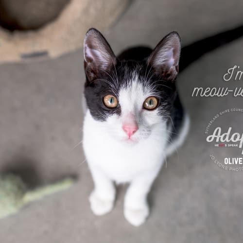 Oliver