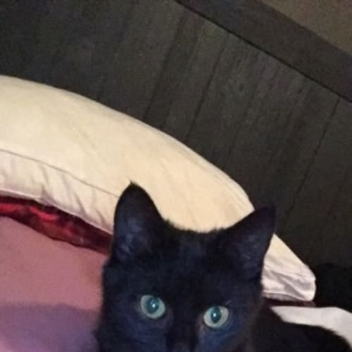 Bowie