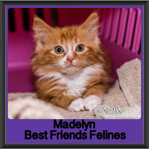 Madelyn 
