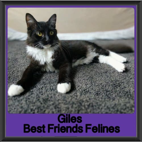Giles 