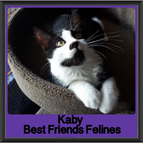 Kaby