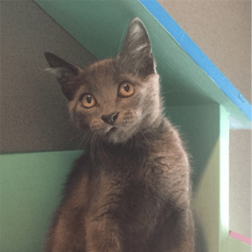 Danny