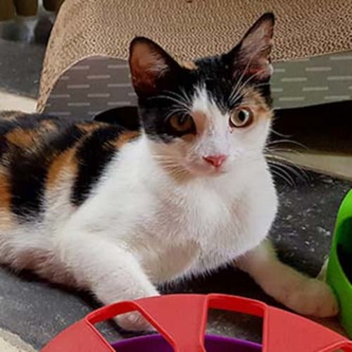 Winifred is checking out her new home!