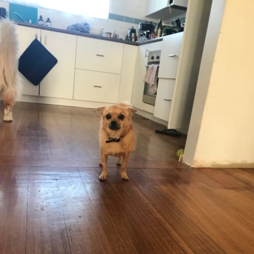 Milly and Mandy