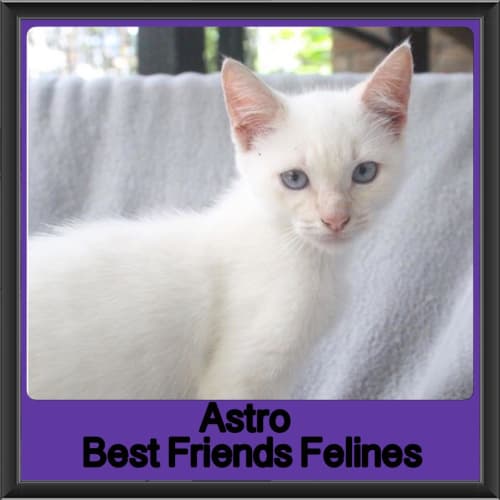 Astro 