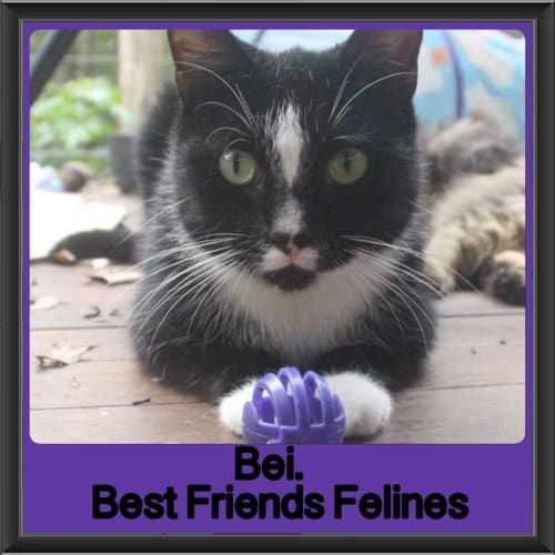 Bei