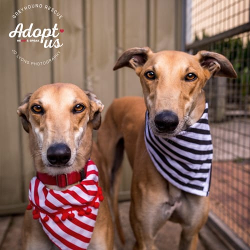 Bixby & Avery (On Trial 16 Jun)
