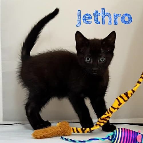 Jethro