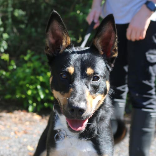 Max