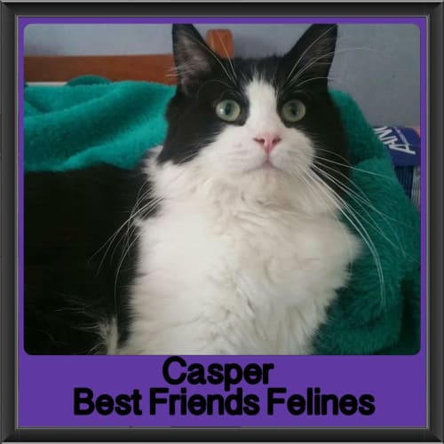 Casper 