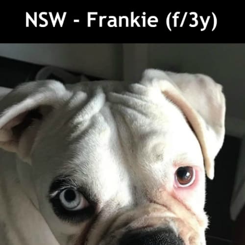 Frankie