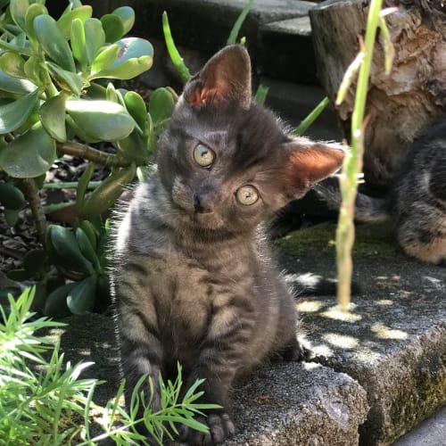 ‘Moon’ aka Luna