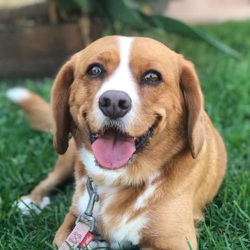 Ruby