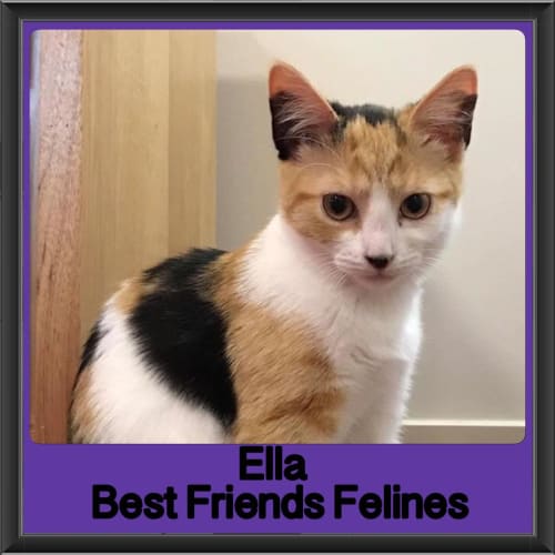 Ella 