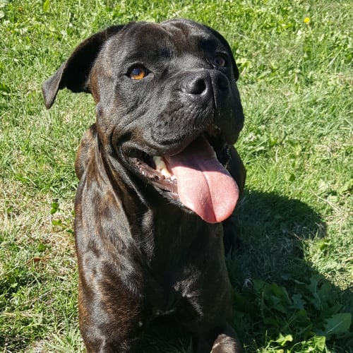 Lucy