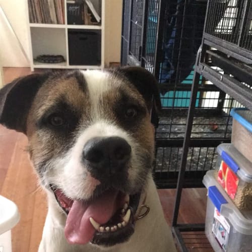 Oscar(now Olaf)