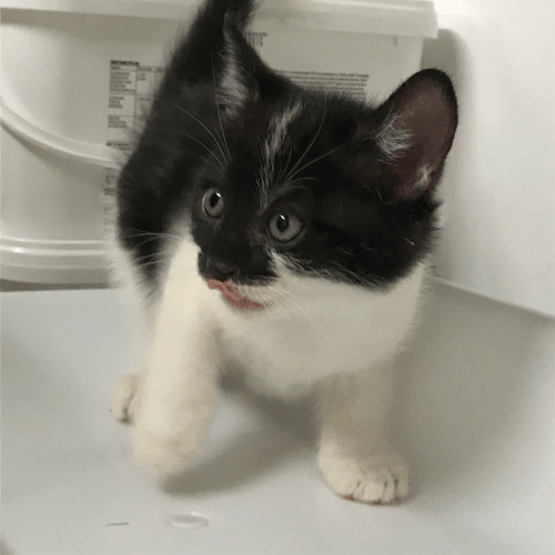 Edna