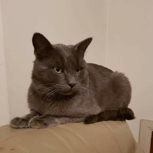 Sebastian