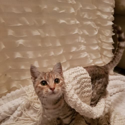 Matilda