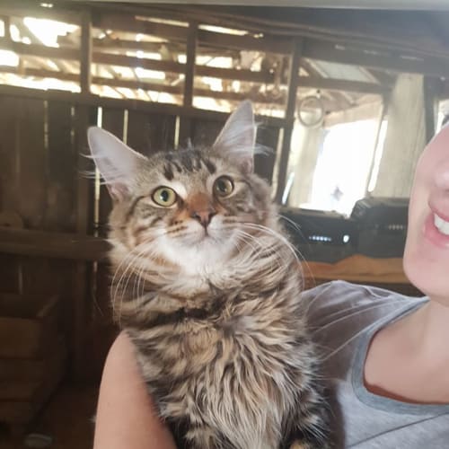 Max