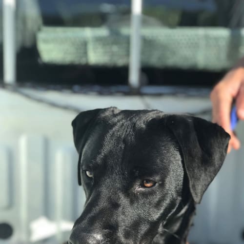 Astro