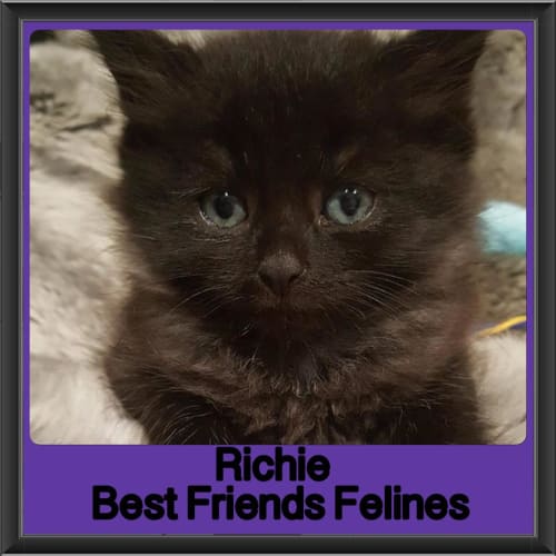 Richie 