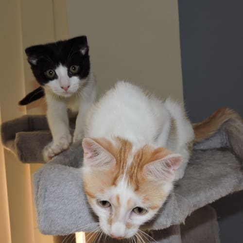 Pete & Sunny
