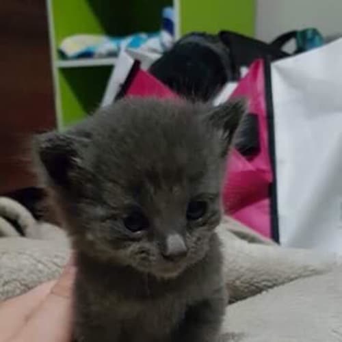 Max 