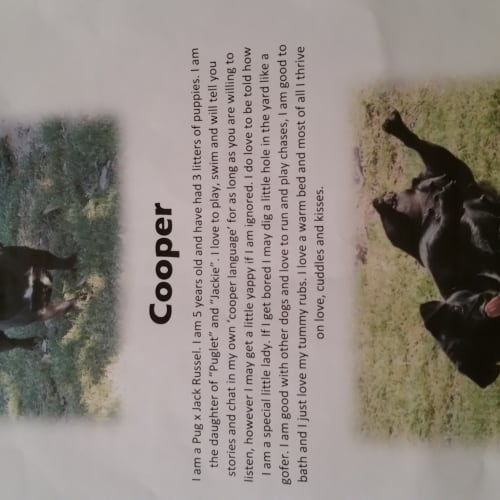 Cooper (girl) I call her chole