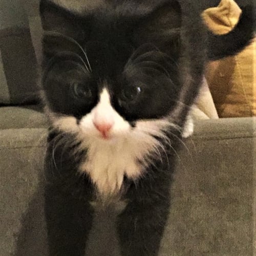 Ben