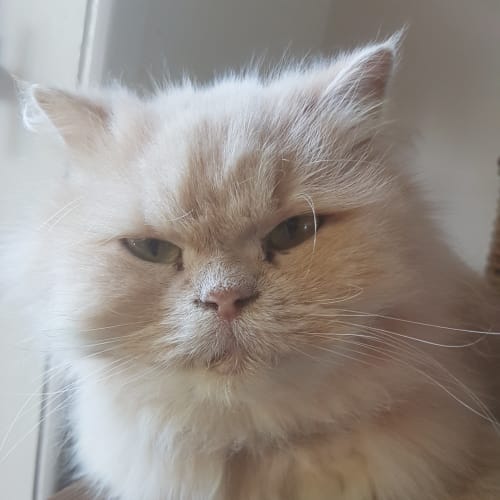 Billy