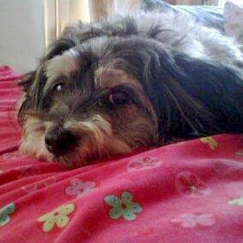Bella Inglethorpe