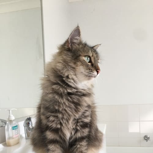 Luna