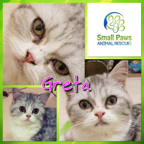 Greta