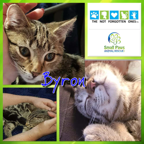 Byron