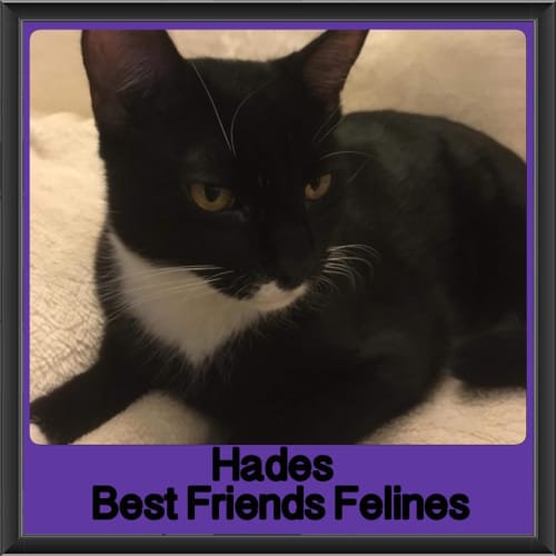 Hades
