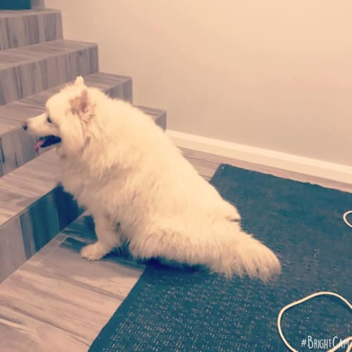 Lola - Snow Girl In Da House