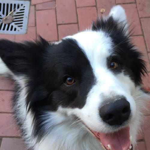 Jax