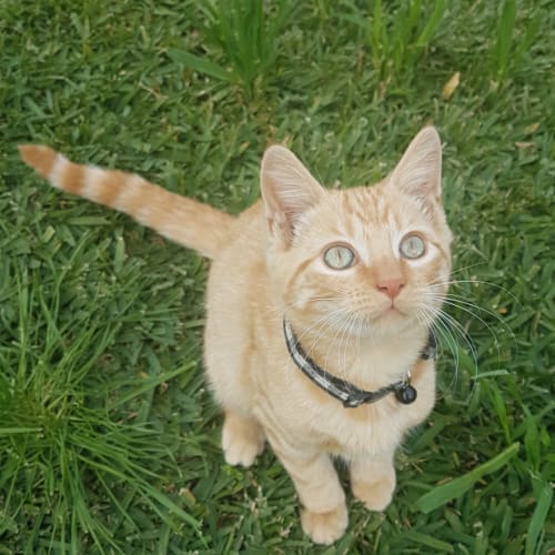 Ed 