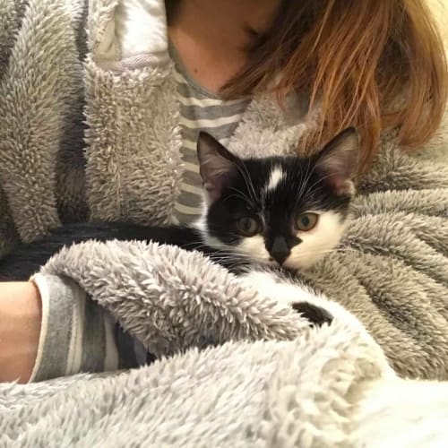 Smudge